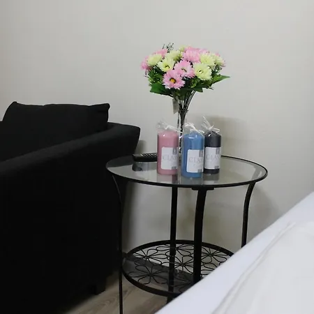 Tv Guest house