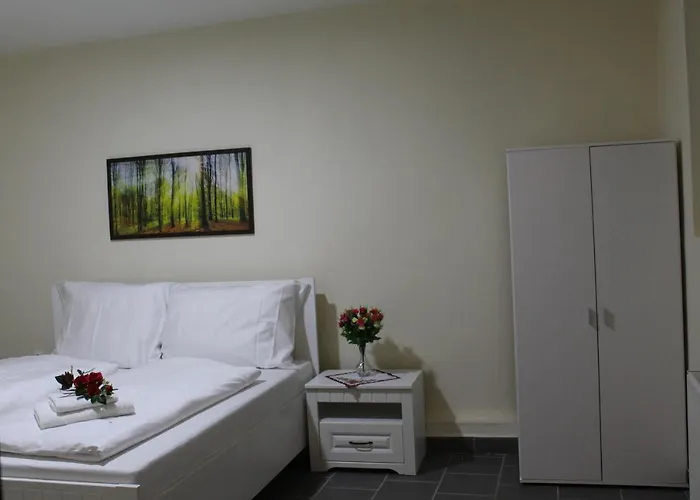 Tv Pensjonat Planá